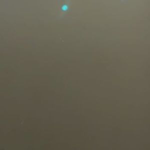 Meet your Posher, Grayson